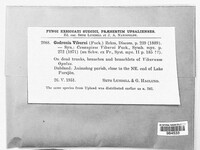 Image Associated With the Occurence